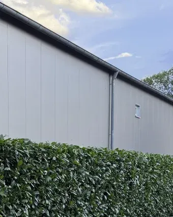 Geschnittene Kirschlorbeerhecke auf einer Natursteinmauer