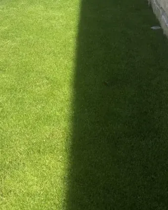 Frisch gemähter Rasenstreifen entlang einer Mauer